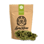 Köp Amnesia Haze Eco-Pack online