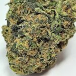 Köp Alaskanska ananas online