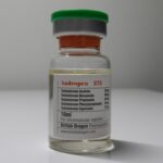 Köp Andropen 275, Testosteronmix, 275 mg/1 ml, 10 ml, online nu på British Dragon Online.