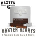 Köp Baxter Blunts 7-pack – INDICA | SATIVA | HYBRID – Online nu