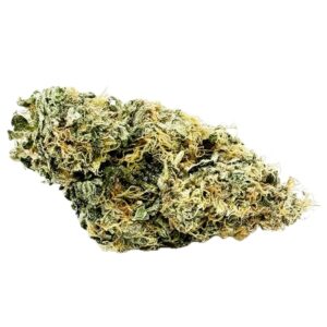 Köp California Haze Ökopack Online