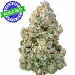 Köp Cali Haze Ms. Galaxy Indoor CBD Bloom 10g online