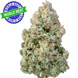 Köp Cali Haze Ms. Galaxy Indoor CBD Bloom 10g online
