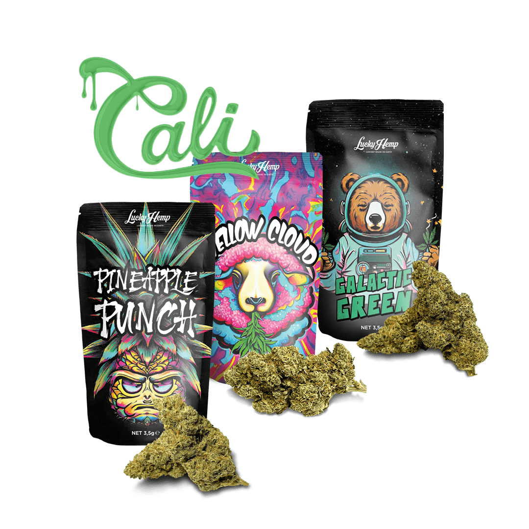 Köp Cali-kollektionen online