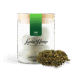Köp California Haze online