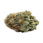 Köp Critical Haze – AAA Online