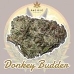 Köp Donkey Butter – Hantverkscannabis – Harvest #2 Online
