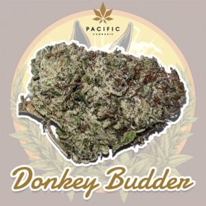 Köp Donkey Butter – Hantverkscannabis – Harvest #2 Online