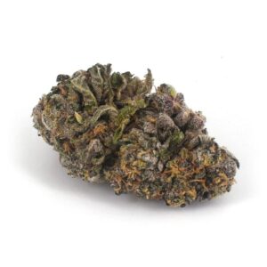 Köp Eistorte (AAAA) online