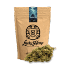 Köp Gorilla Glue Ökopack online