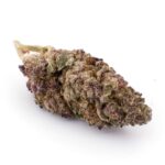 Köp Granddaddy Purple (AAA) online