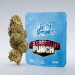 Köp Grapefruit Punch - CBD Blüte 13% online