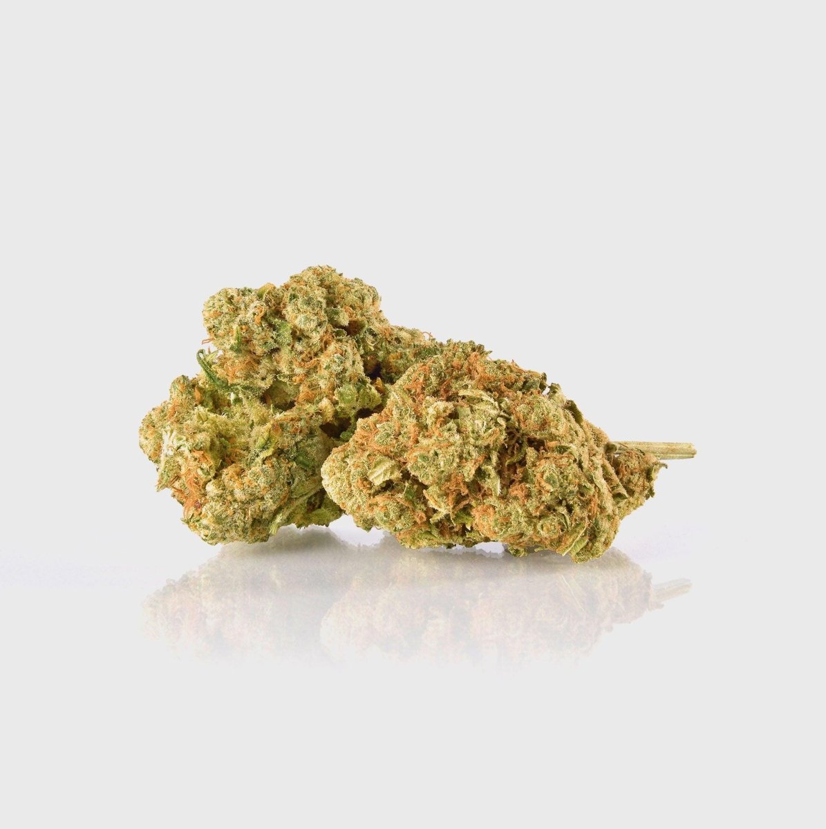 Köp 🔥 Amnesia 40% Superior Online