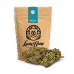 Köp kaliforniska blåbär Ecopack online