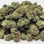 Köp Sie AAA+ Night Nurse Smalls online