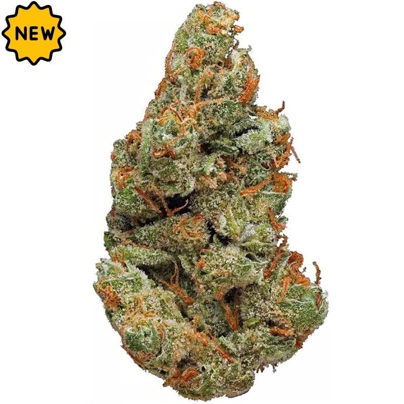 Köp Colorado Bubba Kush inomhus CBD-blommor (10g) online