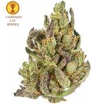 Köp Cup Winner Citrus Kush inomhus CBD-blommor (10g) online