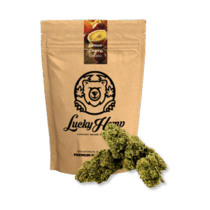 Köp Sie das Ökopack Zitronen-Kirsch-Gelato online