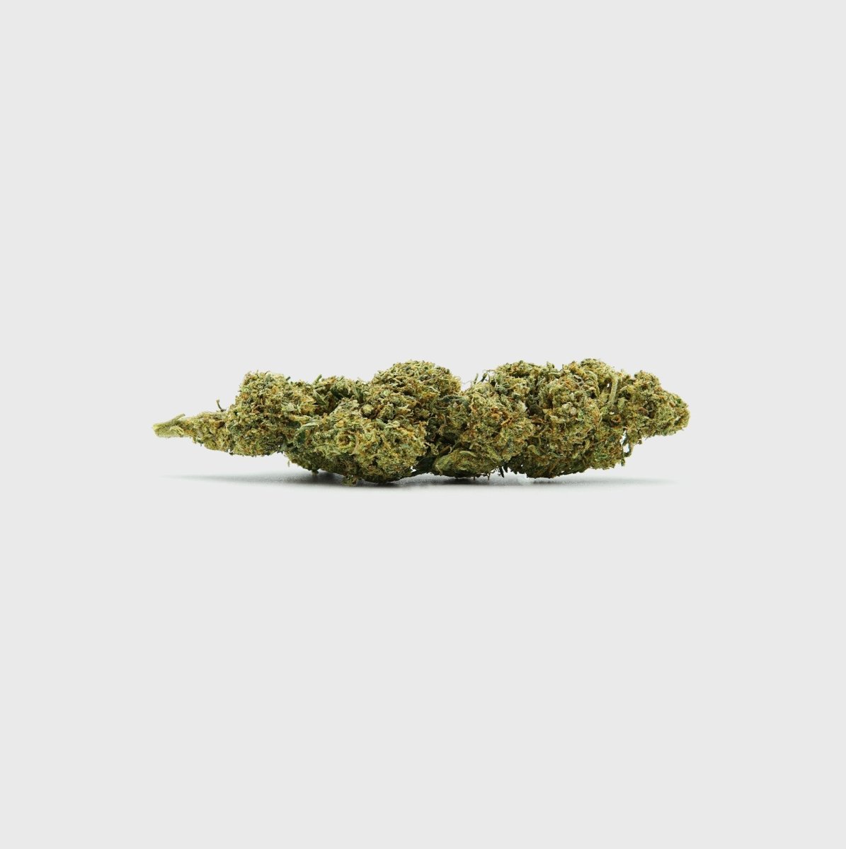 Köp Sie Diesel Dynamite - SATIVA TURBO LVL 5/5 online