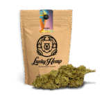 Köp Gelato Eco-Pack online