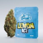 Köp Lemon Ice – 18% CBD-blomma onlineLetar du efter ett naturligt sätt att främja din välbefinnande? En produkt som kan hjälpa dig att koppla av efter en lång dag, stödja din fokus eller helt enkelt ge dig ett ögonblick av ren avkoppling? Då är det dags att möta Lemon Ice – 18% CBD Blomma, ett premiumval för den som söker kvalitet, styrka och en uppfriskande smakupplevelse. På Medicsweden.com är vi stolta över att erbjuda denna exceptionella sort, odlad med omsorg och noggrannhet för att du ska kunna lita på varenda bloss. I en värld som ständigt rör på sig kan det vara en utmaning att hitta stunder av inre ro. CBD, eller cannabidiol, har framstått som en naturlig partner för många i deras strävan efter balans. Till skillnad från sin kusin THC, ger CBD ingen berusande effekt, vilket innebär att du kan njuta av dess potentiella fördelar med ett klart och fokuserat sinne. Lemon Ice tar denna upplevelse till nästa nivå med en generös halt av 18% CBD, inslagd i en fräsch och citrusaktig aroma som genast väcker sinnena. När du köper Lemon Ice CBD-blomma online hos oss, investerar du i mer än bara en produkt; du investerar i en högkvalitativ ritual för dig själv. Låt oss fördjupa oss i vad som gör denna sort så speciell. 3 Anledningar att Välja Lemon Ice – 18% CBD Blomma Exceptionell Kvalitet och Styrka (18% CBD): Siffran talar sitt tydliga språk. Med en CBD-halt på hela 18% tillhör Lemon Ice de mer potenta sorterna på marknaden. Detta innebär att du kan njuta av en mer framträdande och långvarig effekt med en mindre mängd produkt. Varje blomma är rik på cannabinoider och terpener, vilket säkerställer att du får ut det mesta möjliga av varje gram. Det är den ultimata valutan för den som vet vad den vill ha. En Uppfriskande Smak- och Luktresa: Som namnet antyder är Lemon Ice en fröjd för sinnena. Den bär på en kraftfull, fräsch doft av citrus och citron, kompletterad med undertoner av sötma och jordighet. När du låter aromen fylla rummet känns det som att du just har skalat en färsk, mogon citron. Denna livfulla terpenprofil gör varje session till en verklig njutning, oavsett om du vaporiserar eller rullar din egen CBD-cigarett. Noggrann Odling och Naturligt Ursprung: Vår Lemon Ice är odlad i Europa under strikta kontrollerade förhållanden utan användning av skadliga pesticider eller kemikalier. Vi prioriterar en ren och naturlig odlingsprocess för att garantera att den slutgiltiga produkten är så nära naturen som möjligt. Genom att köpa Lemon Ice – 18% CBD blomma online från Medicsweden.com kan du känna dig säker på att du får en produkt med ett tydligt spårbart ursprung och av högsta renhet. 3 Fördelar med att Köpa Lemon Ice CBD Online hos Medicsweden.com Bekväm och Diskret Shopping: Din väg till välbefinnande ska vara enkel och okomplicerad. Genom att handla online på vår webbbutik kan du utforska vårt sortiment, läsa detaljerade produktbeskrivningar och lägga din beställning i lugn och ro, dygnet runt. Din beställning packas sedan ned i en diskret förpackning utan några yttre tecken på innehållet, vilket säkerställer din integritet från kassan till brevlådan. Snabba Leveranser och Fri Frakt: Vi vill att du ska kunna njuta av din CBD-blomma så snart som möjligt. Därför erbjuder vi snabba bearbetningstider och skickar ofta din vara samma dag om du beställer innan vår cutoff-tid. För dig som kund i Sverige är det dessutom extra fördelaktigt – vi erbjuder fri frakt på alla beställningar över en viss summa, vilket gör ditt köp ännu mer förmånligt. Expertis och Utbildning: Medicsweden.com drivs av passion och kunskap. Vi ser oss inte bara som en återförsäljare utan som en resurs för dig som är nyfiken på CBD. På vår hemsida hittar du omfattande information, guider och tips för hur du bäst använder din CBD-blomma. Har du frågor? Vår kundtjänst består av entusiastiska experter som är redo att hjälpa dig med allt från produktval till konsumtionsmetoder. Hur du Tar till dig din CBD-Blomma När du har fått hem din vackra Lemon Ice CBD-blomma finns det flera populära sätt att njuta av den. Ett av de mest rekommenderade metoderna är vaporisering. Genom att använda en vaporizer för växtmaterial värms blomman upp till en temperatur där de värdefulla cannabinoiderna och terperna avges som ånga, utan att förbrännas. Detta anses vara ett rent och effektivt sätt som är skonsamt för lungorna. En annan klassisk metod är att rulla den till en CBD-cigarett eller joint (med rullpapper utan tobak). Detta ger en långsammare och mer ritualistisk upplevelse som många uppskattar. Slutligen kan du även använda blomman för att tillreda din egen CBD-olja eller infusa den i matlagning, även om detta kräver lite mer kunskap och förberedelse. Oavsett vilken metod du väljer, kom ihåg att alltid börja lågt och gå långsamt. Börja med ett litet bloss eller en liten mängd och vänta för att se hur din kropp reagerar innan du tar till dig mer. Vanliga Frågor (FAQ) om Lemon Ice – 18% CBD Blomma 1. Kommer jag att bli "bäng" av att använda Lemon Ice CBD-blomma? Nej, det kommer du inte. Vår Lemon Ice CBD-blomma innehåller mindre än 0,2% THC, vilket är den lagliga gränsen i Sverige och den psykoaktiva komponenten i cannabis. Produkten ger ingen berusande eller psykoaktiv effekt. Istället kan du förvänta dig en känsla av lugn, avslappning och ren välbefinnande utan att ditt sinne dimmas. 2. Är det lagligt att köpa CBD-blomma online i Sverige? Ja, det är fullt lagligt att köpa och äga CBD-produkter i Sverige, så länge innehållet av THC är under 0,2%. Alla produkter som säljs på Medicsweden.com, inklusive vår Lemon Ice – 18% CBD blomma, uppfyller detta krav och är helt lagliga att beställa, ta emot och använda. 3. Hur förvarar jag min CBD-blomma för att den ska hålla sig fräsch? För att bevara aromen, smaken och potenten hos din CBD-blomma är rätt förvaring avgörande. Förvara den alltid i en lufttät behållare, gärna av glas, på en sval, mörk och torg plats. Undvik direkt solljus och värpekällor. Vid rätt förvaring kan din blomma hålla sig färsk i flera månader. Att investera i din välbefinnande är ett av de bästa val du kan göra. Med Lemon Ice – 18% CBD Blomma får du en pålitlig, potent och otroligt njutbar partner på din resa. Den är perfekt för nybörjare som vill börja med något kraftfullt och för kunniga användare som söker en pålitlig favorit. Är du redo att uppleva skillnaden? Besök Medicsweden.com idag för att köpa Lemon Ice – 18% CBD blomma online och ta det första steget mot en mer avslappnad och balanserad vardag. Vi ser fram emot att välkomna dig!