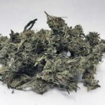 Köp Lemon Jack (Otrimmat, Budget Bud) Online