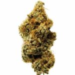 Köp Nevada AK-47 inomhus CBD-blommor (10g) online — Till salu