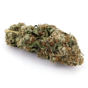 Köp Master Kush (AA) online