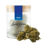 Köp Master Kush online