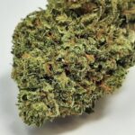 Köp Platinum Bubba Kush online.