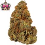 Köp Queen Canada Cookies inomhus CBD-blommor (10g) online
