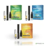 Köp Sanaleo CBD VaPen 60% Starter-Kit - 0,5 ml online