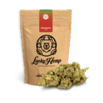 Köp Jordgubbshaze Ökopack online