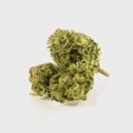 Köp Super Lemon Haze 15% CBD online 🍋