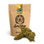 Köp Super Lemon Haze Ökopack online