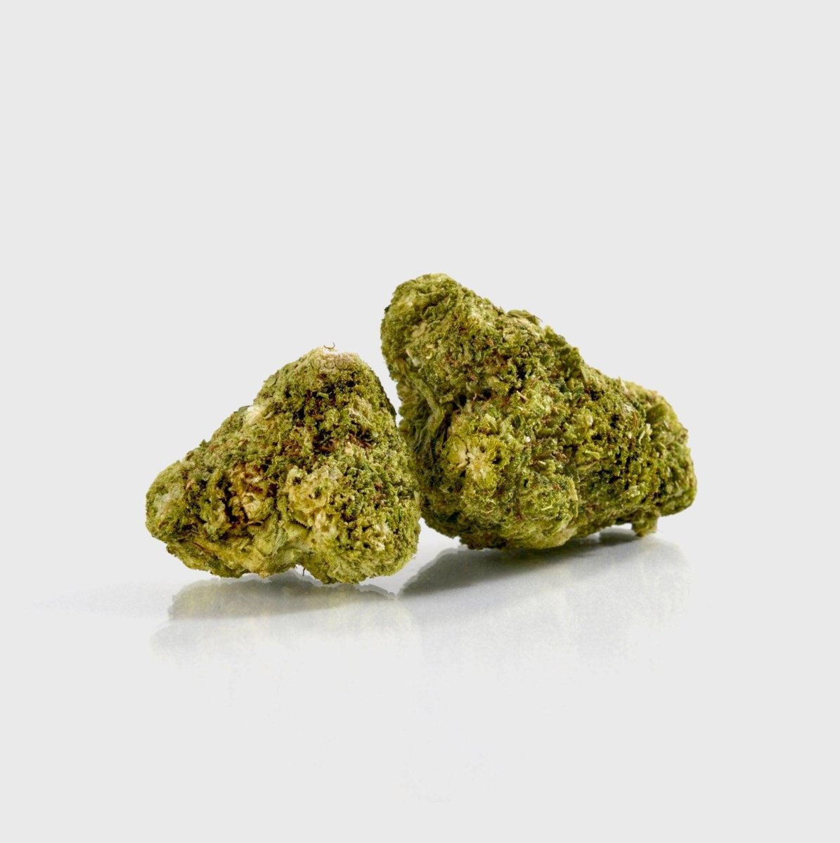 Buy Tangie 🍊 - POWER LVL: 4/5 online