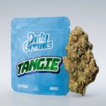 Köp Tangie - Superior Blossom 40% online