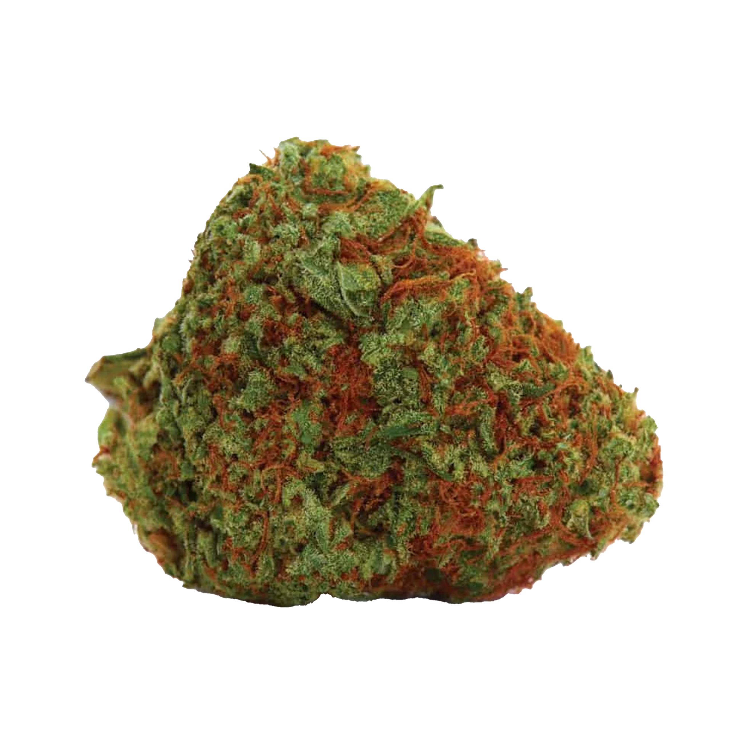 Orange Bud Cannabis-Samen Premium THC 22% online kaufen